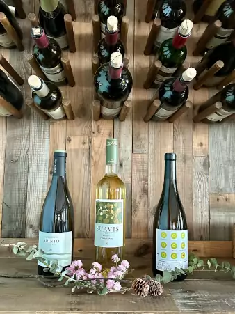 Vinhos brancos março abril 2023