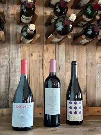 Vinhos tintos março abril 2023